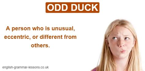 Definitions & examples for the idiom: odd duck .